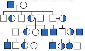 Pedigree showing sex-linked trait All