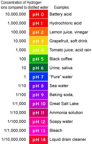 The ph Scale ph scale is logarithmic meaning a difference of one ph unit is equal to a