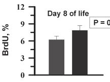 Calves Day 8 of life P < 0.05 Roffler et al., 2003 Blättler et al.
