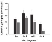 glucose production Plasma Glucose: Postnatal Concentrations and Changes after Feed Intake Effect of Insulin Supplementation of a Supplement on Insulin Absorption and Glucose Uptake Postnatal