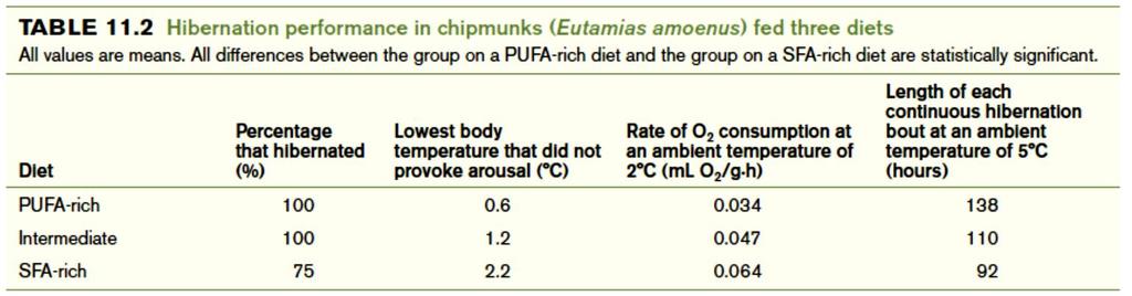 Food In addition to brown fat animals also store white fat in adipocyte White fat can be saturated (SFA), mono (MUFA) or poly unsaturated fatty acids (PUFA) SFA is solid at low