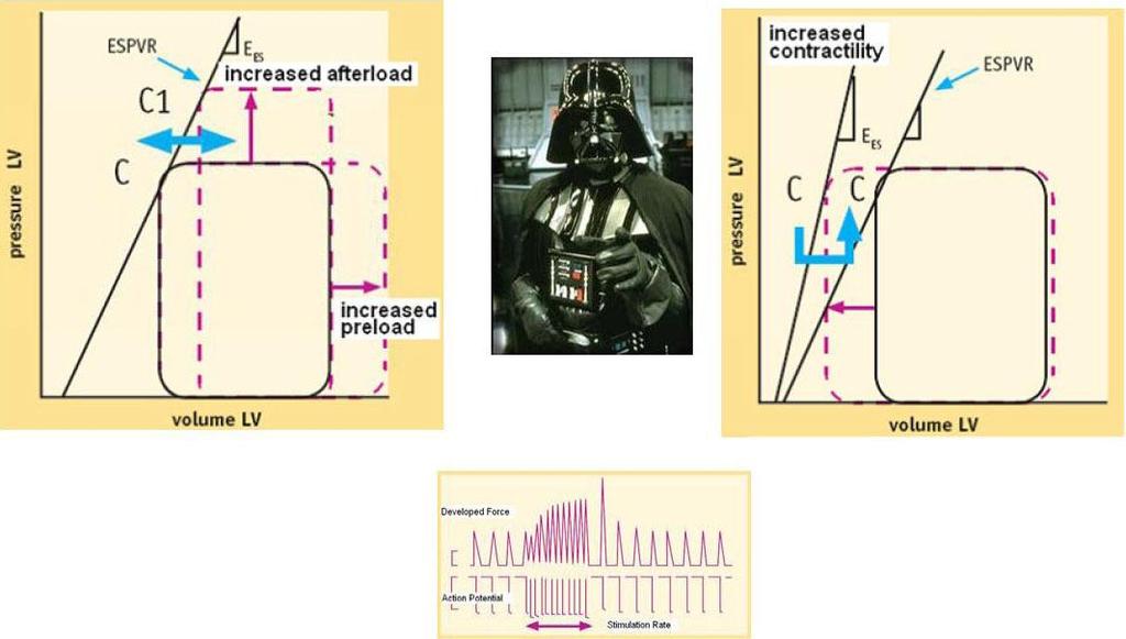 Preload, afterload, heart rate: the dark side of the force.