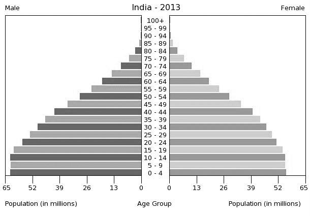 FIGURE 3 INDIA s POPULATION PYRAMID 2013 Unhealthy Diet High blood pressure is the leading risk for mortality, globally. Many researches show that excess salt intake affects blood pressure.