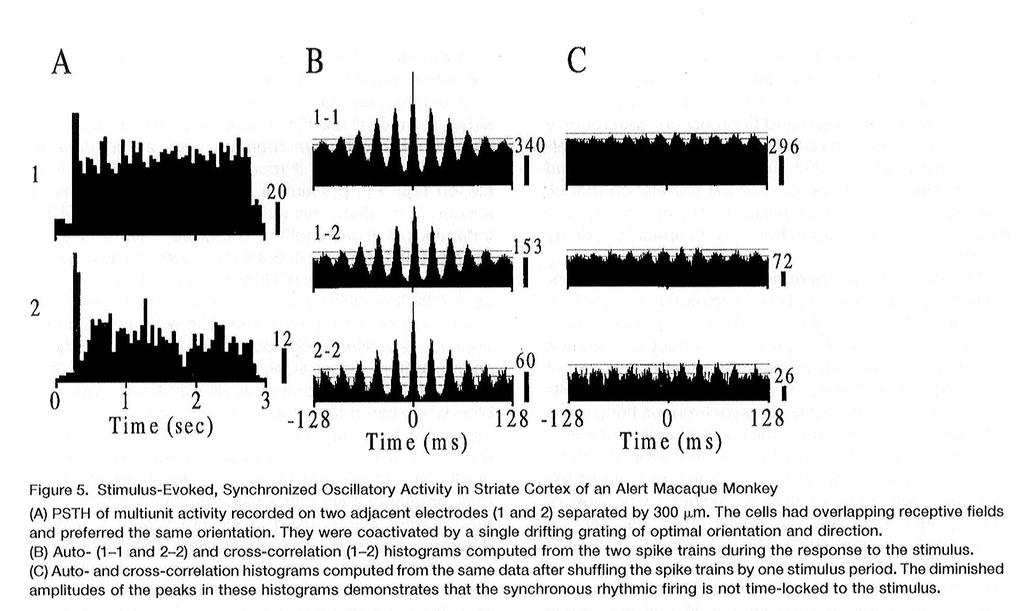 Mathematical Analysis Create a Poststimulus Time Histogram (PSTH) of the activity recorded from