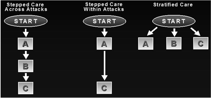 Stepped Care vs Stratified Care Stepped care across attacks Changing or adding on treatments for the next attack once an initial therapy fails Stepped care within an attack Initial treatment with a