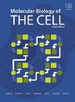 References Molecular Biology of the Cell, Sixth Edition Authors: Alberts