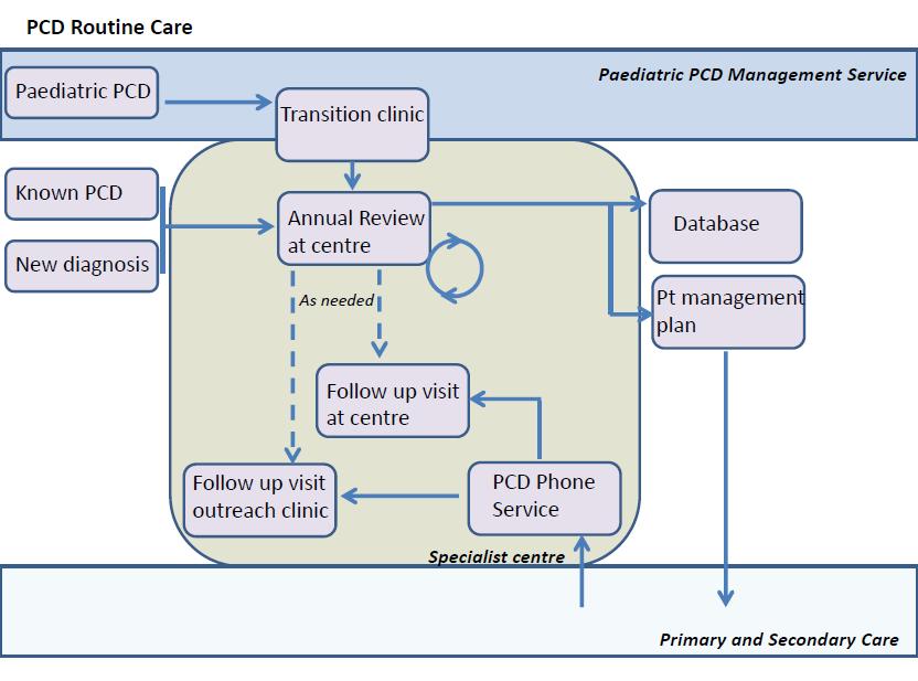 Figure 1 2.1.3 Acute care (see Figure 2) All patients have a management plan for when they are unwell.