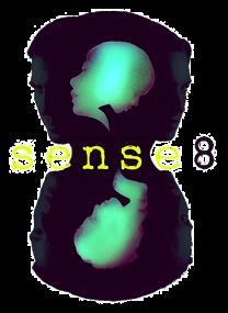 Sensory Processing How many senses do we have? 1. Tactile/Somatosensory System: touch 2.