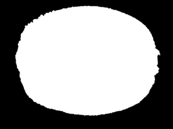 The object is ovoid, ~ 4 5 cm long and ~ 2.5 3 cm wide.