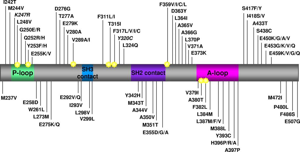 ABL1- kinase domain mutations Map of all the amino acid substitutions in the Bcr-Abl KD identified in clinical samples from patients