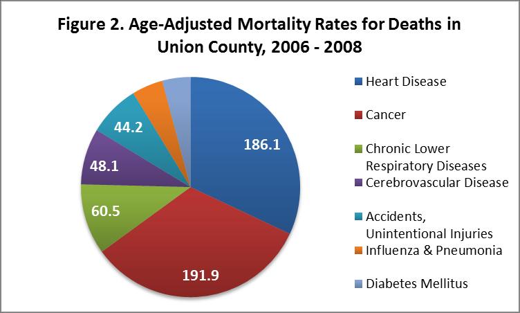 Leading Causes of Death Leading Causes of Death in Adults The number one killer of Americans is heart disease followed by cancer, and Union County mirrors this national trend.