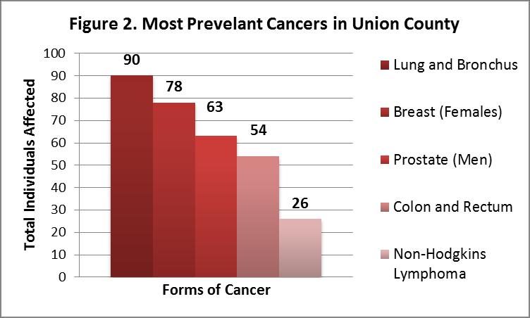 These five cancers accounted for 61% of the cancer incidents in the county.