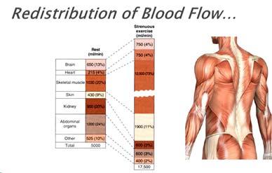 The ability of tissues to take oxygen from the blood is referred to as extraction of oxygen. Red blood cells are required for oxygen delivery.