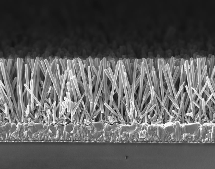 Intensity (a.u.) Intensity (a.u.) a 500 nm 1 µm Figure S1. SEM images of (a) ZnO NWs after 2 yles of deposition; and () the ross setion of ZnO NW template with a length ~2 µm.
