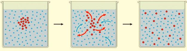 Membrane Structure and Function - 5 Moving Materials Through Membranes A significant part of membrane activity involves transporting materials through it in one direction or the other.