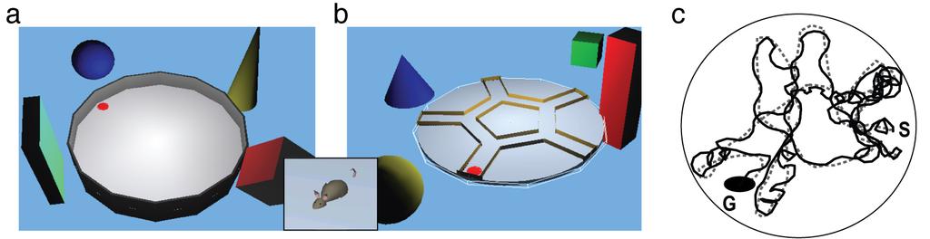 Figure 2: The MWM (a) and Starmaze (b) tasks simulated within the Webots 3D-environment. Inset: simulated mice.