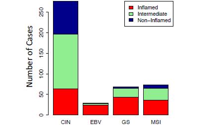 CIN GASTROESOPHAGEAL CANCER IMMUNE ENVIRONMENT In TGCA dataset CIN tumours have lowest INF signature GC-CIN tumours have the lowest proportion of T-cell inflamed tumours