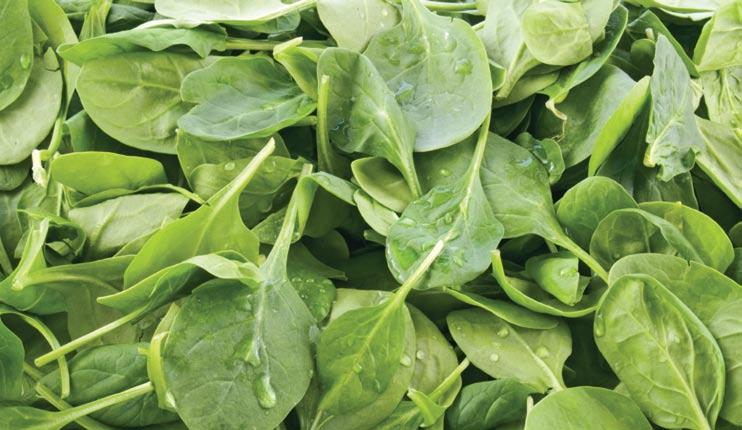 Similarly, the reputation of other bulk leafy greens might have also been tarnished by the spinach problem. In such a case, these products could be considered shock complements.