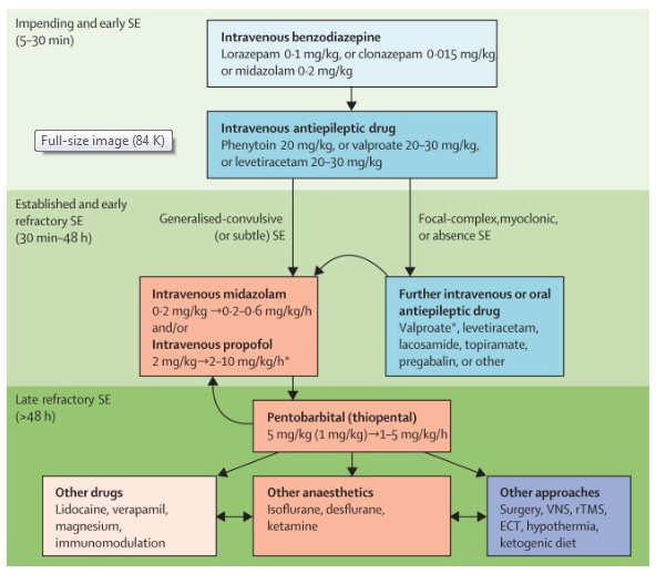 Status Epilepticus Algorithm Status Epilepticus Algorithm: Real World 1. Lorazepam 2mg IV q2 minutes up to 6mg 2. Fosphenytoin 18-20mg/kg (Dilantin Equivalents) IV 2a.