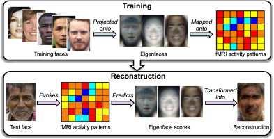 97 Figure 7.1: Experimental setup for studying brain networks while learning a skill (Figure borrowed from [3]). Here fmri scans are collected after every 10 training sessions for each subject.