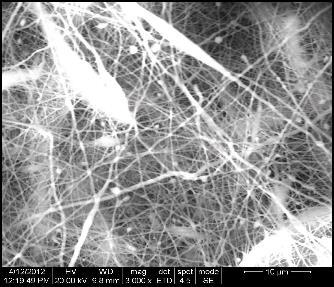 From the figure 11 we can see nanoparticles are coated over nanofiber.