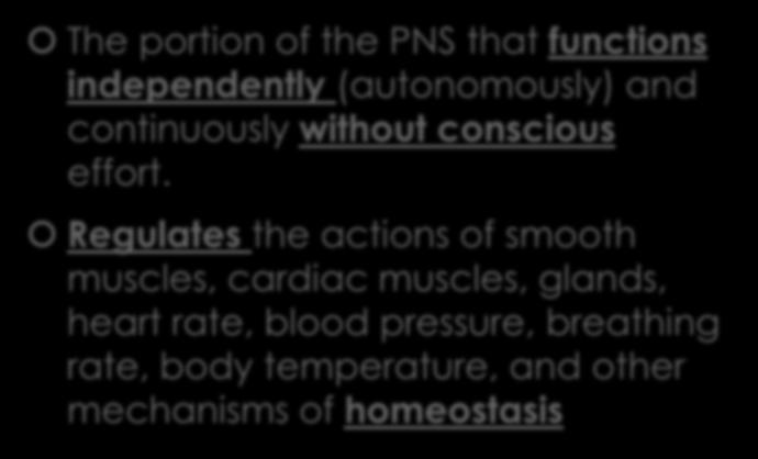 Autonomic Nervous System The portion of the PNS that functions