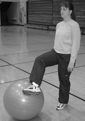 Wall Lunge Place ball on wall, press lower back into ball. Stand at an angle.