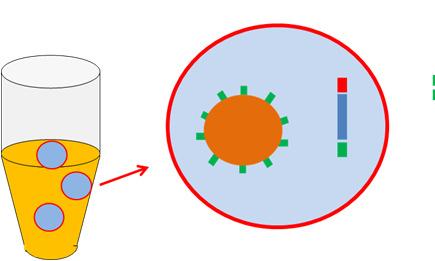 Next generation sequencing Starting DNA Emulsion PCR amplification -