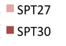 cells ß catenin mutation Each cell has two alleles CTNNB1 FGFR3 APC PIK3CA SPT27 SPT30 ß catenin