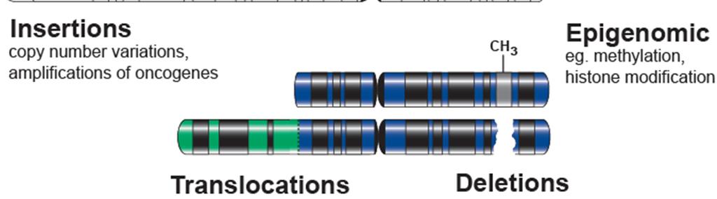 variations Copy number variations Epigenetic