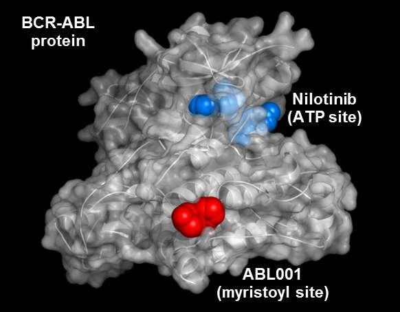 Introduction ABL001 is a potent, specific inhibitor of BCR-ABL1 with a distinct allosteric mechanism of action BCR-ABL1 Protein Binds a distinct and separate region of the kinase domain: the