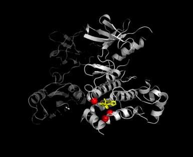 0001 E255K Myristoyl Binding Site Mutations P465S E255V A337V V299L E459K F359V E355G Nilotinib T3151 A337V ABL001 ATP binding site mutations