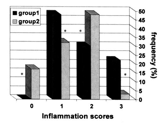 Histological section of a root that received a score of "3" for severe inflammation and destruction of apical and cortical bone (H&E, 40). TABLE 1. Overall results for the groups No.