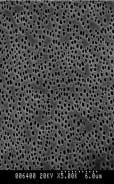 However, the surface pores were only observed in the PMMA- and PLGA-coated groups, and the pore