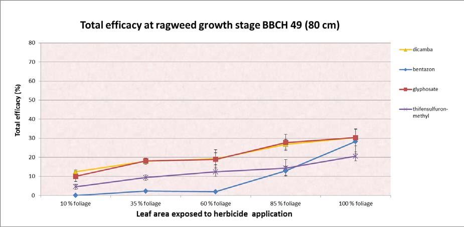 Figure 27: Total efficacy of clipping and different herbicides applied to various leaf areas remained after clipping at ragweed growth stage BBCH 49 (8 cm).