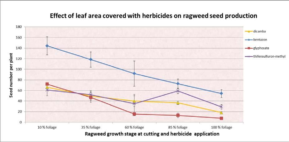 The lowest seed production was determined with application of glyphosate.