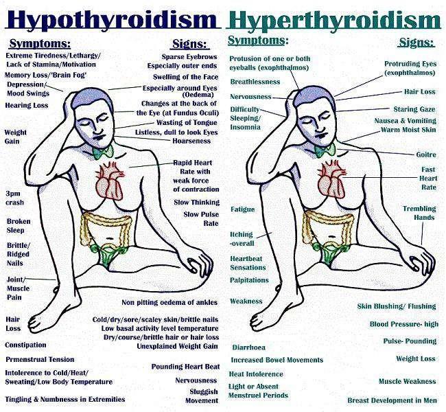 Notice how the signs and symptoms of hyper and hypothyroidsm are mostly the opposite of each other and involve all bodily functions.