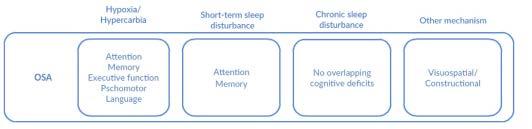 Cognitive Deficits and Sleep Apnea Systematic Reviews and
