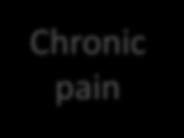 Current understanding: Intersection Chronic pain