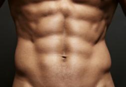 Front abdominal muscles such as the rectus abdominis and pyramidalis muscles.