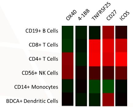 Expression of T-cell Co-stimulators TNFRSF25 is preferentially expressed on CD8+ T-cells compared to other T-cell