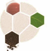 nutrivision Tissue Sample Soil Sample Comprehensive Nutrient Analysis