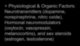 and neuromodulators (endocannabinoids) - Psychosocial - Cultural