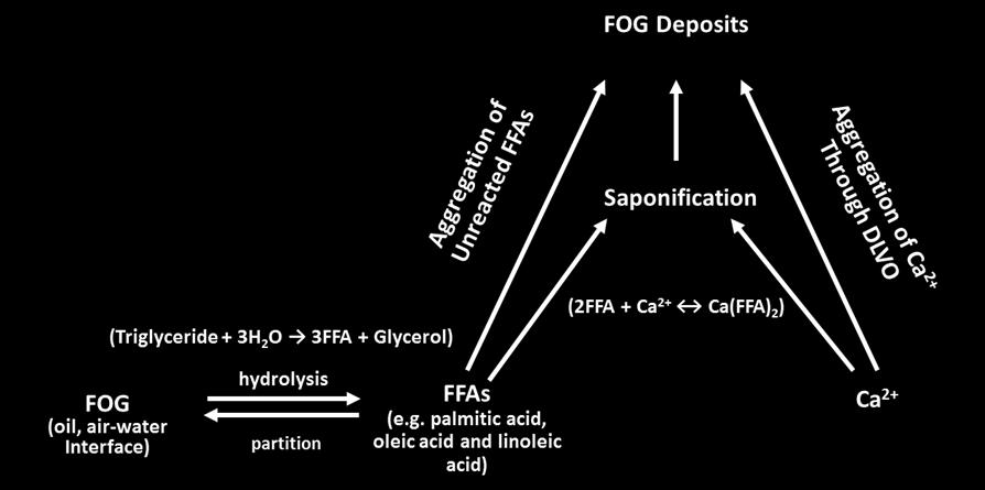 Mechanisms of Fat, Oil and Grease (FOG) Deposit Formation in Sewer Lines. He, 2013.