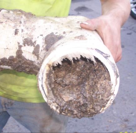 Formations More Likely to Occur at Pipe Fitting Ridges, Roots and Sags, Rather Than in Straight Pipe Sections.