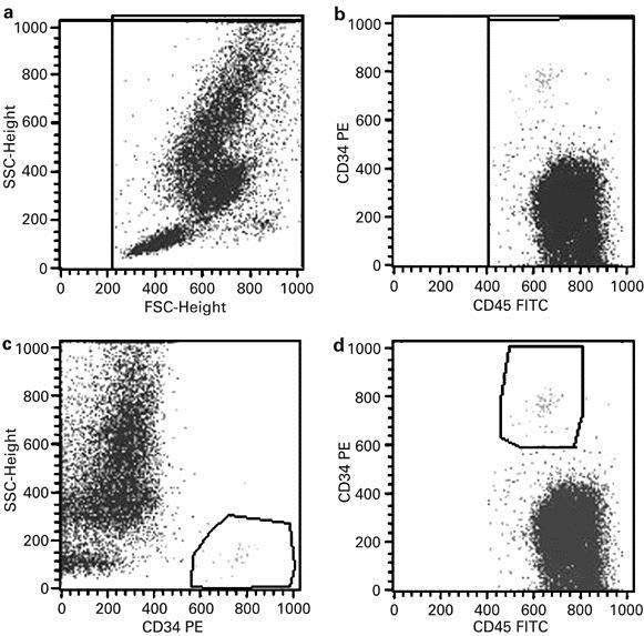 Detection of stem cells CD34+ stem cells Monitoring of stem cell