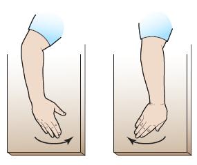 Without moving your elbow or forearm, move your wrists side to side (see Figure 17). Fig ure 17.