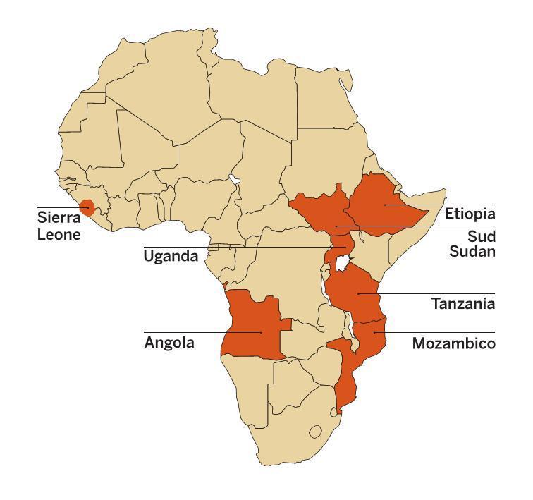 Doctors with Africa CUAMM Doctors with Africa CUAMM is present in 7 African countries (Angola, Ethiopia, Mozambique, Sierra Leone, South Sudan, Tanzania, Uganda) with: 78 volonteers 37 principal