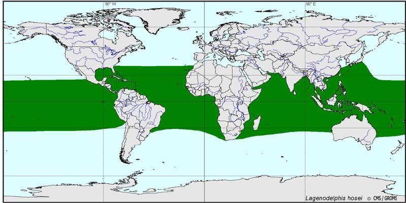 II. Distribution Patterns: Pantropical