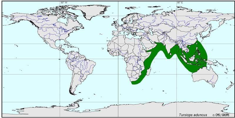 Distribution Patterns: Regional (Ocean